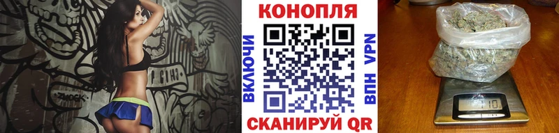 Канабис планчик  купить наркоту  Горячий Ключ 